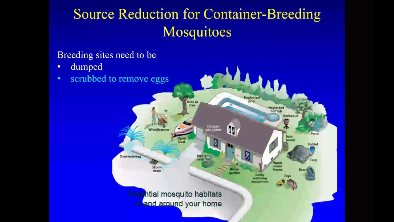 Webinar: Keys to Effective Mosquito Control this Summer