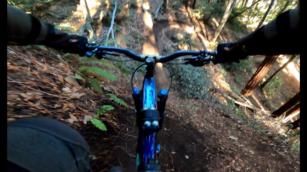 Santa Cruz - Cobb Trail - MTB