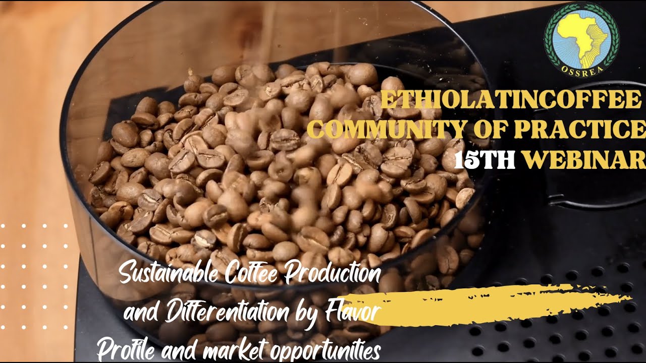Sustainable Coffee Production and Differentiation by Flavor Profile and market opportunities