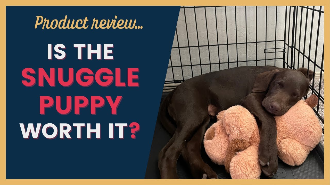 Snuggle Puppy Product Review