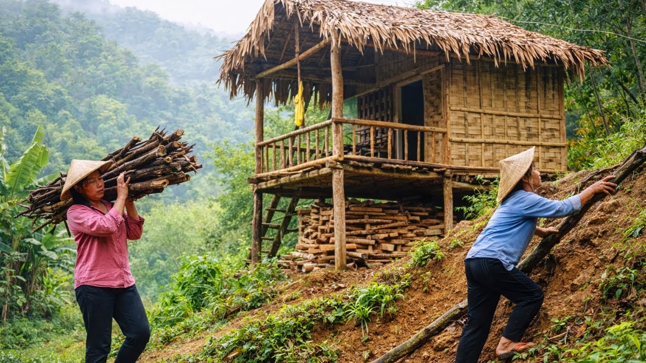Poor Girl Survives Alone by Building a Bamboo Wall | Cooking Food & Cutting Large Wood
