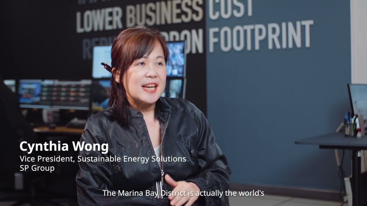 IKEA for Business: Improving the everyday in sustainability innovation