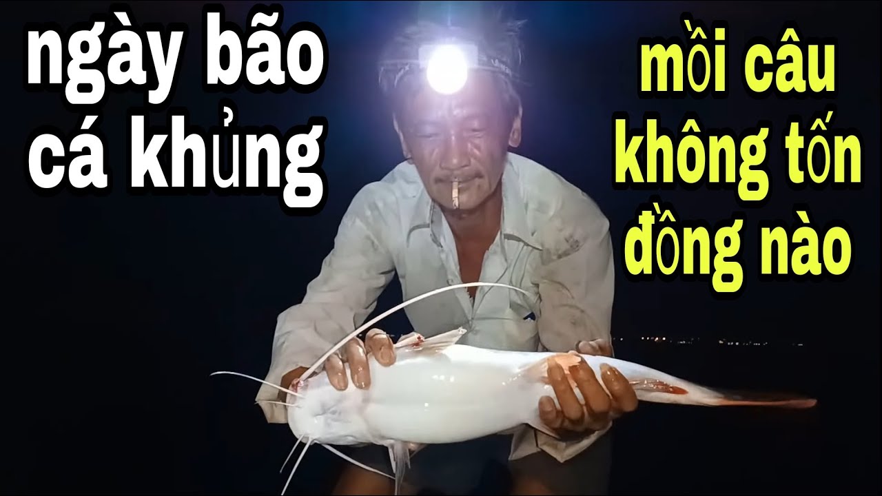 Bậc Thầy Giăng Câu Dùng Loại Mồi Mệnh Danh Sát Thủ Cá Khủng Hugo # SĂN BẮT ĐỒNG THÁP #