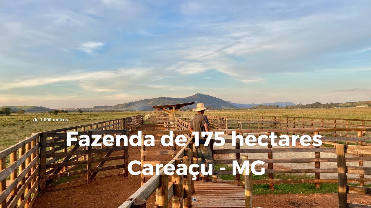 Fazenda de Gado com 175 hectares de Terras Planas e Minerais no Sul de Minas Gerais!
