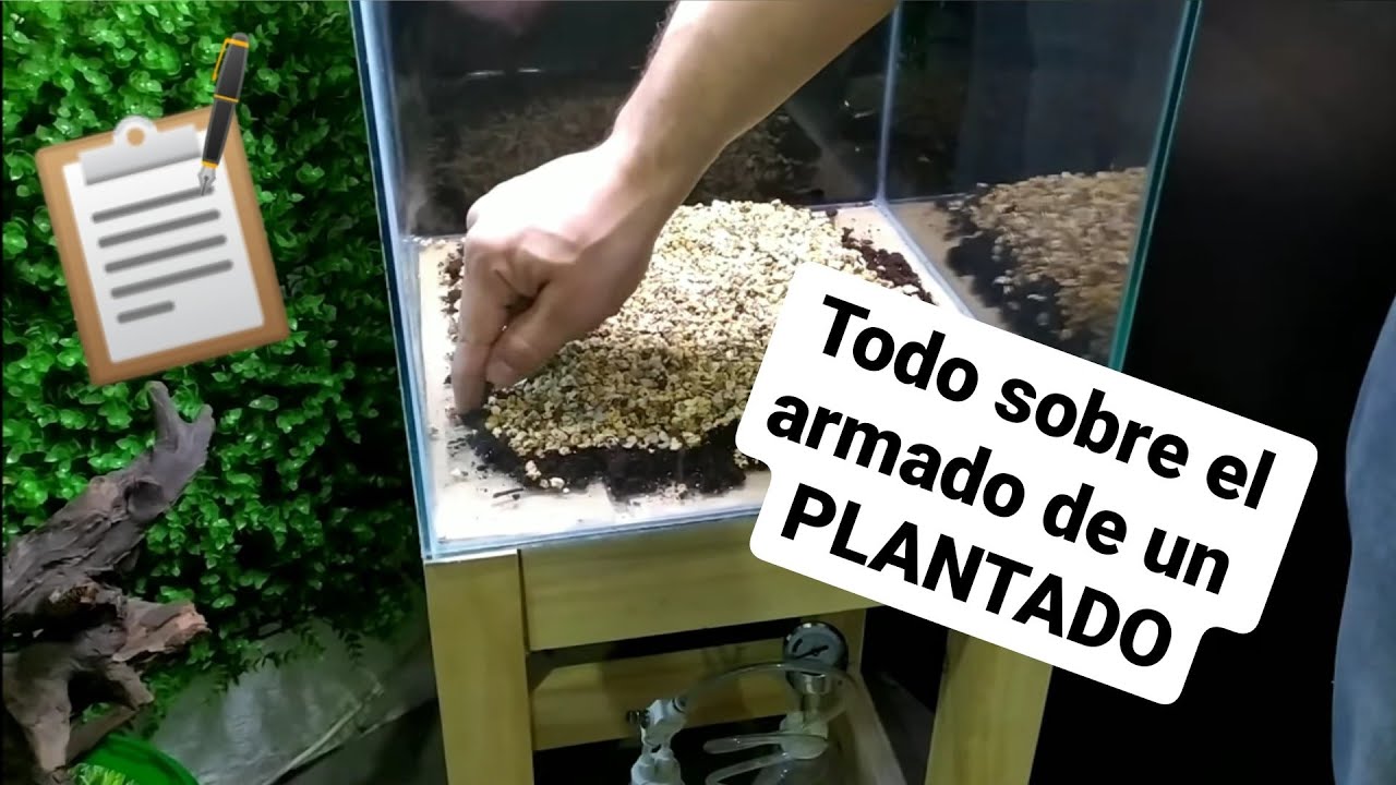 Primeros pasos en el armado del sustrato nutritivo para un acuario plantado Hi-Tech