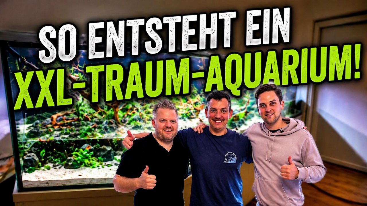 Das größte Aquascape-Projekt: 4500L Aquarium entsteht! | GarnelenTv