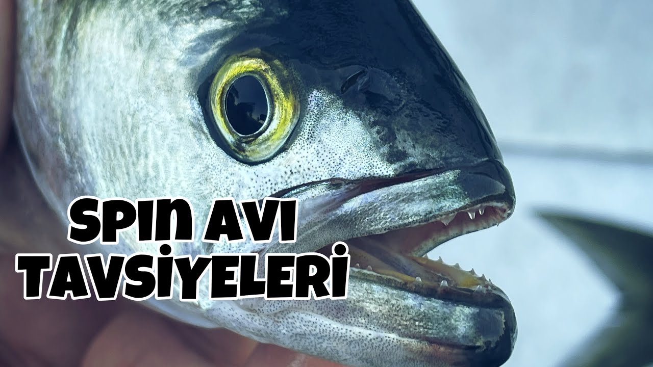 Spin ( At - Çek ) Balık avı disiplinine yeni başlayanlar için ÇITIR Tavsiyeler