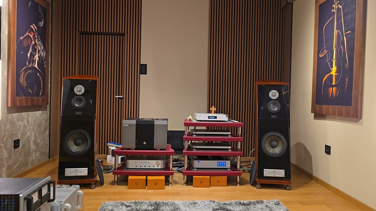 Musical fidelity ams 50 - Usher DMD 10 - incredible synergy