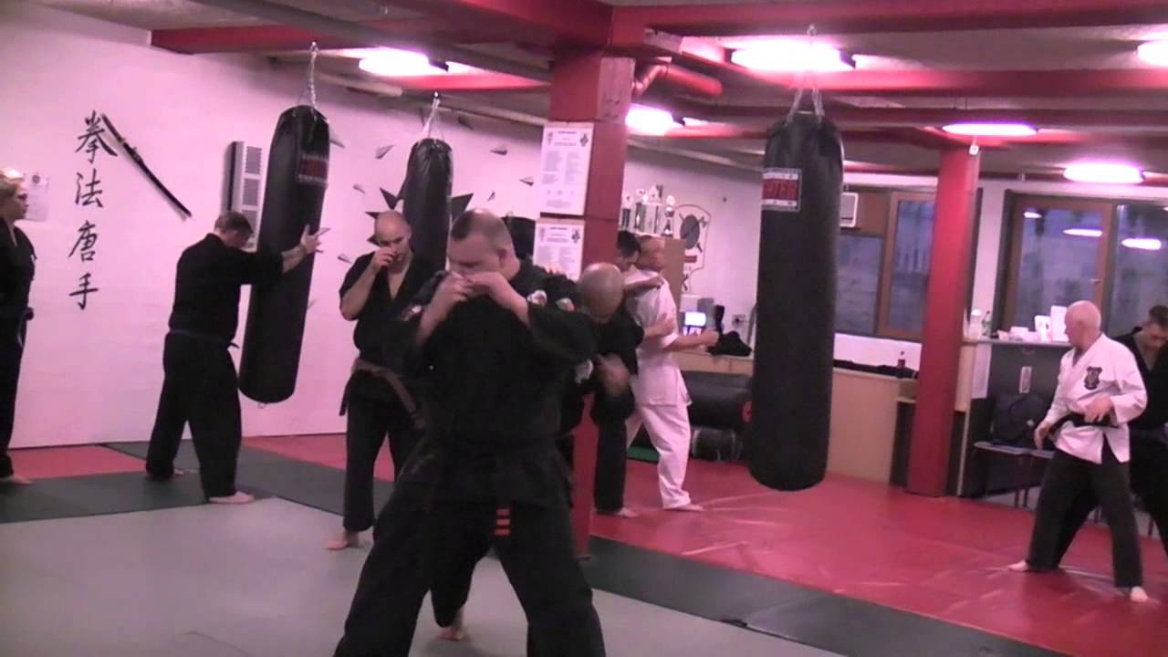 Burgess seminar in Denmark 2012 - Part 2