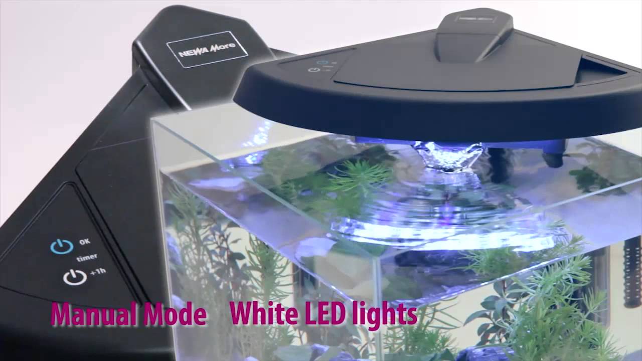 Newa More, the new aquarium 