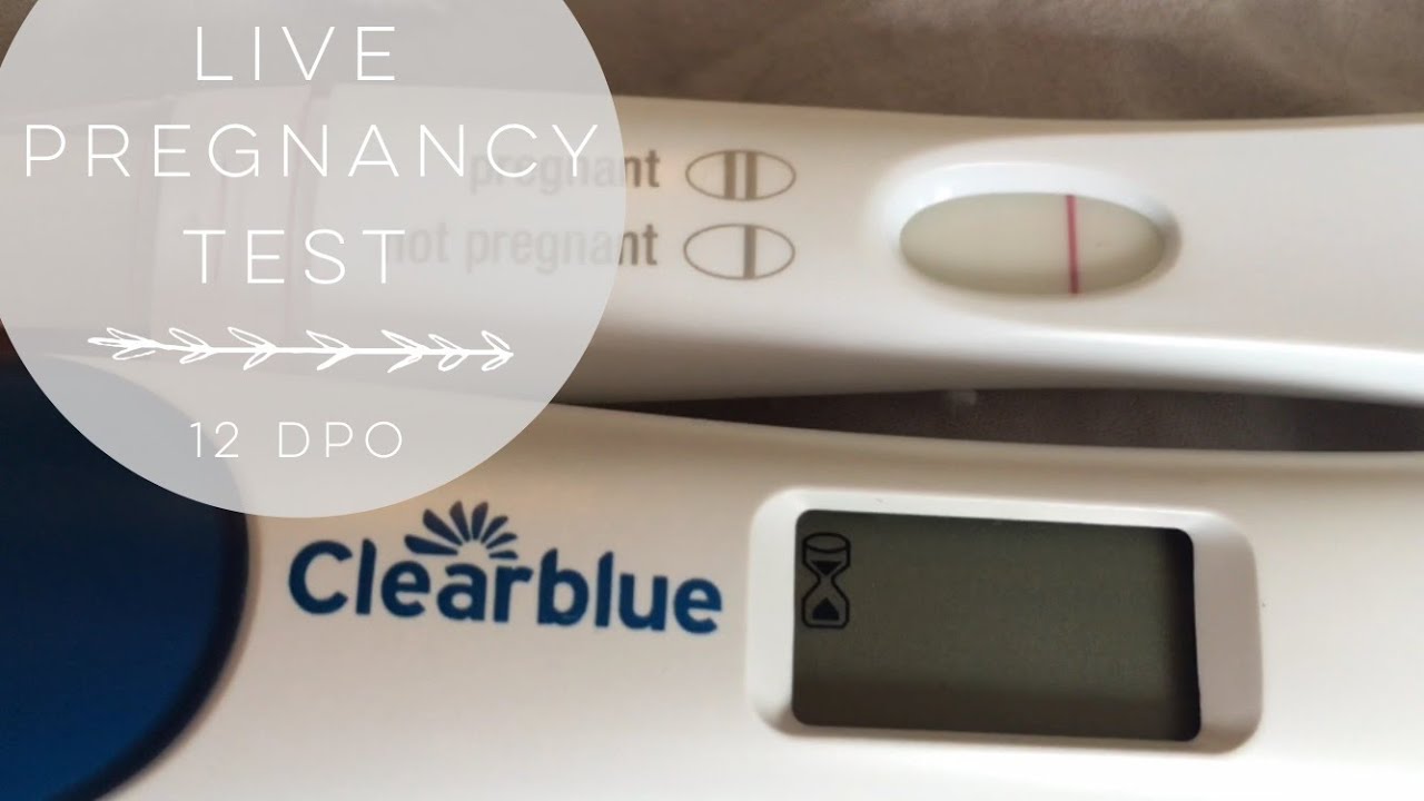 LIVE PREGNANCY TEST | 12dpo