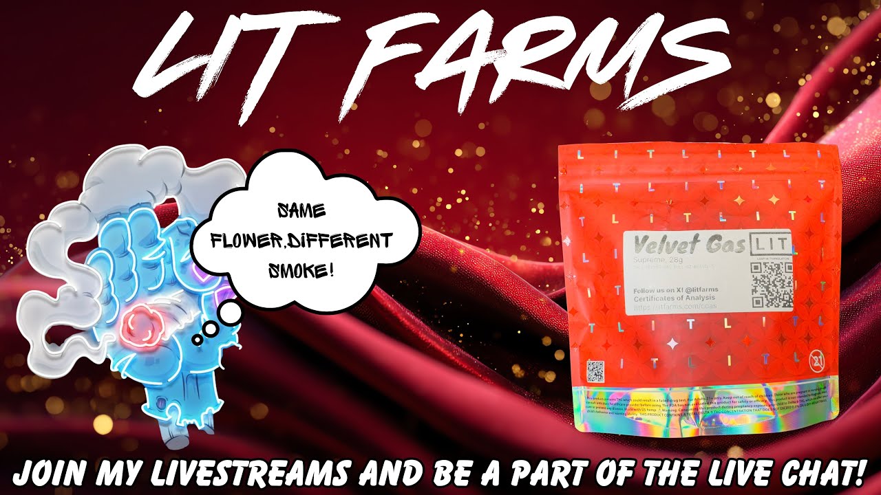 LIT FARMS THCA FLOWER REVIEW: VELVET GAS! USE CODE (SPACECITY10) TO SAVE 10%!