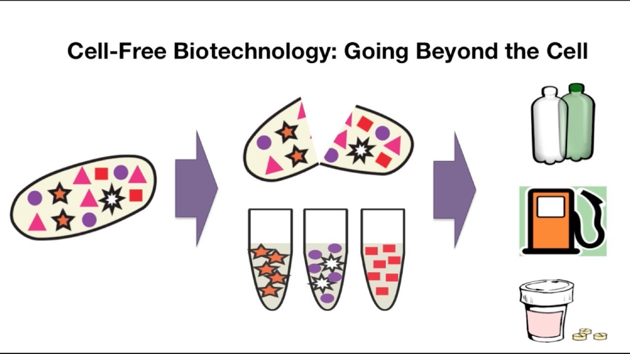 Cell-free Biotechnology: Going Beyond the Cell