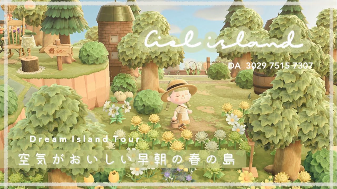 あつ森 夢訪問｜個性が詰まった自然いっばいの島をおさんぽ｜ACNH 🧸🌵