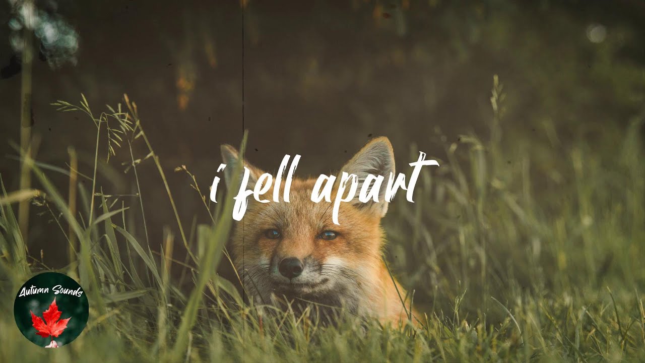 i fell apart  - indie  sauce