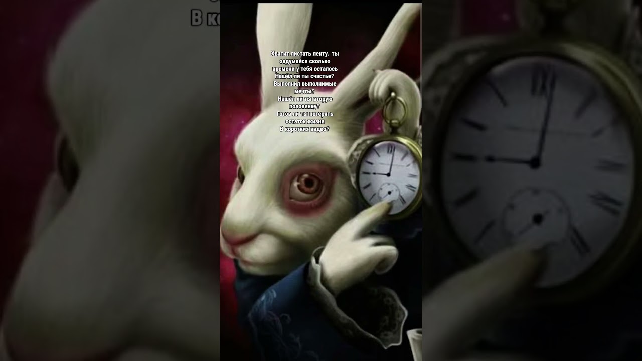 какое я пакостное видео зделал) #врекомендации #заяц #пакостный