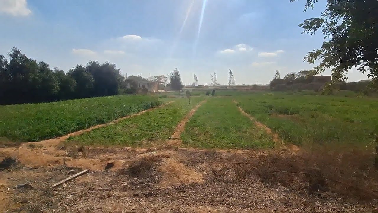 مزرعة 6 فدان موقع مميز جدا في ابو غالب اول طريق مصر اسكندرية الصحراوي