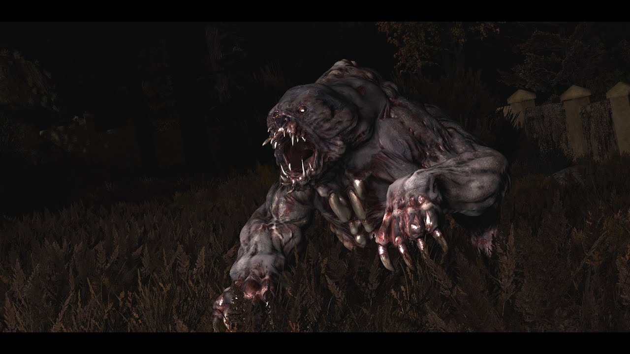 Don't Go To Red Forest ●  S.T.A.L.K.E.R. Anomaly