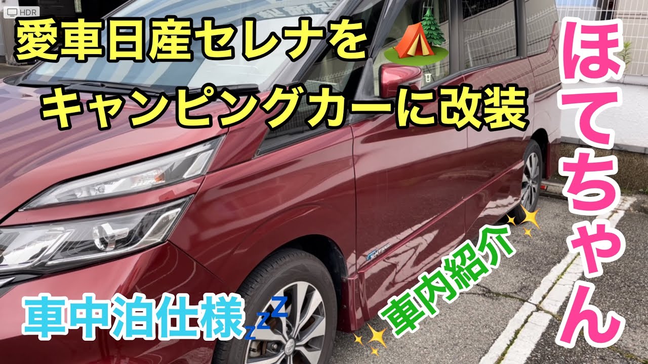 【キャンピングカー】愛車の日産セレナキャンピングカーに改装🚘車内紹介（ほてちゃん）