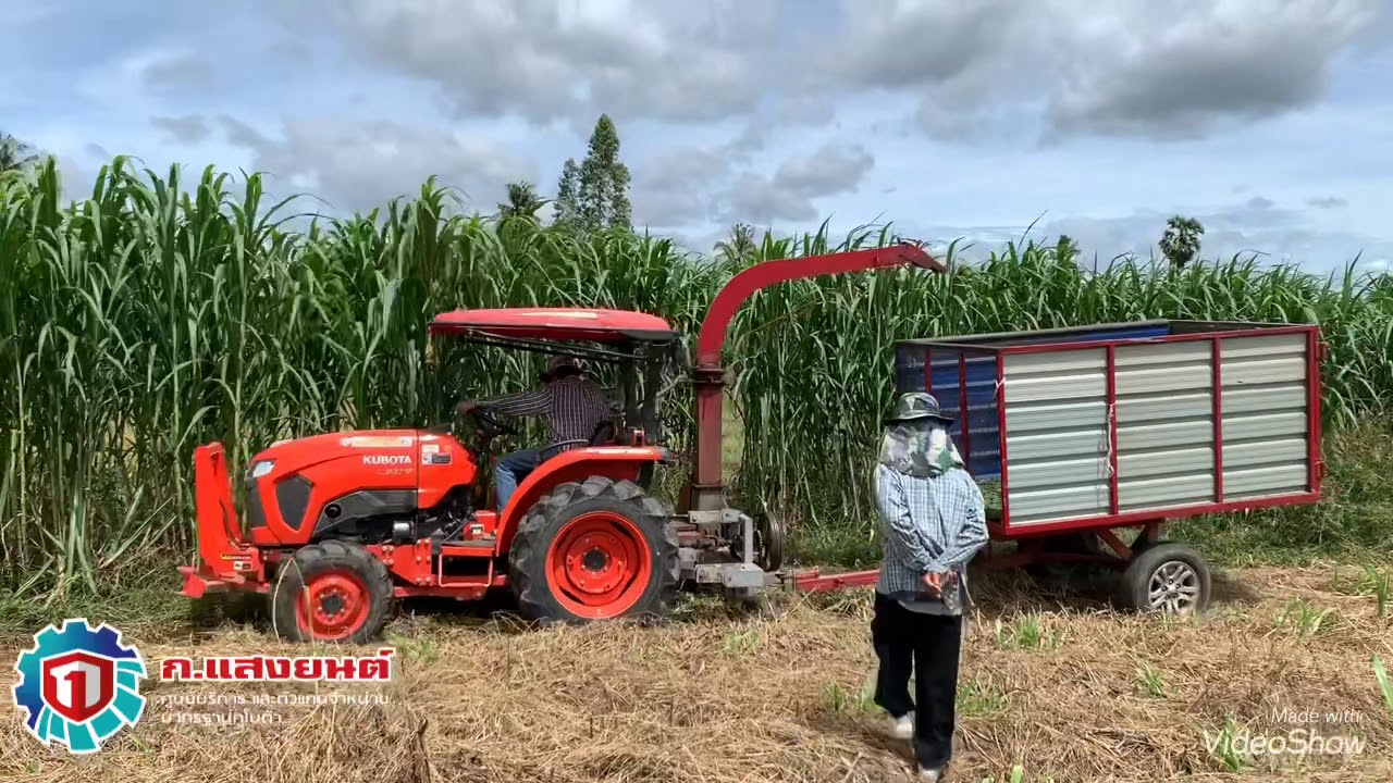 L3218 ตัดหญ้าเนเปีย
