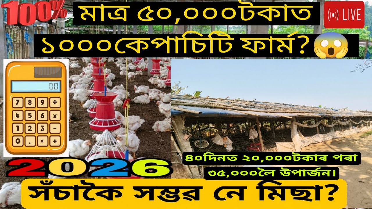 মাত্ৰ ৫০,০০০ টকাত ১০০০ কেপাচিটি ফাৰ্ম কেনেকৈ আৰম্ভ কৰিব পাৰি? CHICKEN FARMING FOR BEGINNERS IN ASSAM