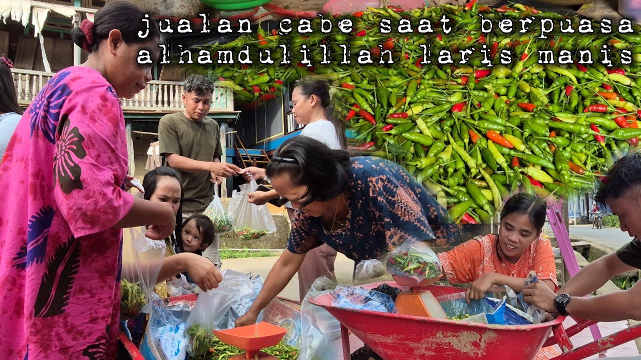 Jualan cabe saat puasa langsung di serbu para pembeli warta petani muda hidup di hutan