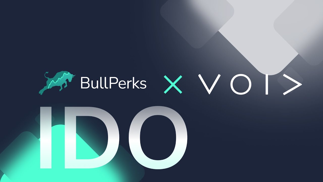 BullPerks x Void