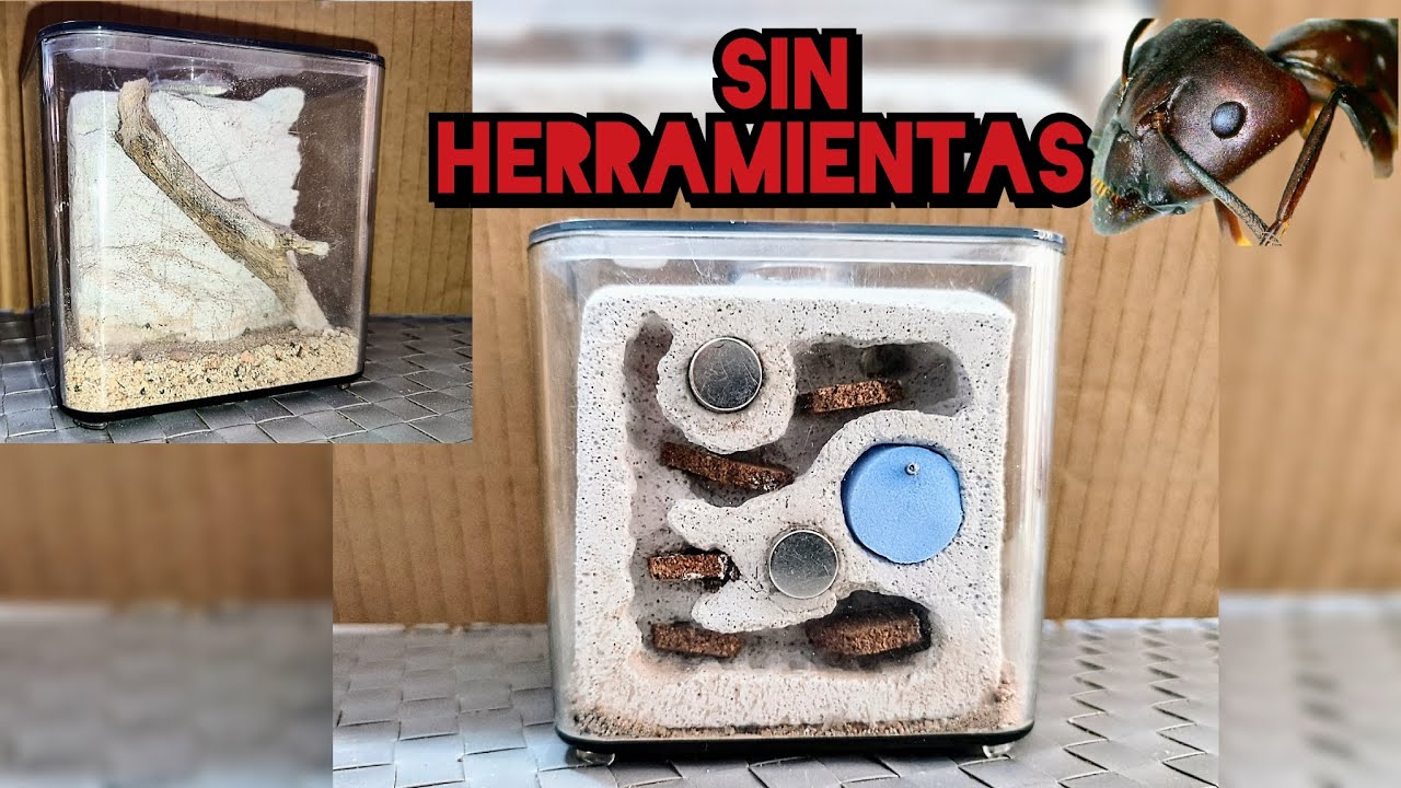 HORMIGUERO CASERO en ytong SUPER EFECTIVO, sin herramientas eléctricas