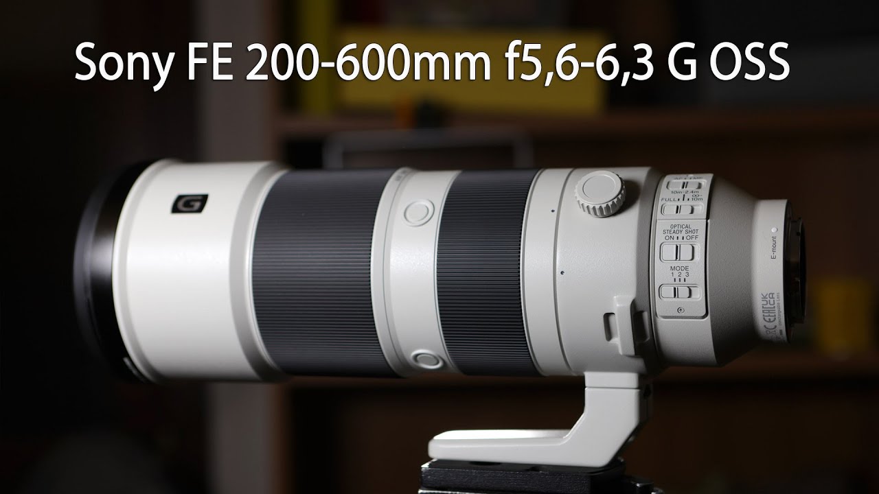 Sony FE 200-600mm zoom f 5,6-6,3 G OSS prova completa