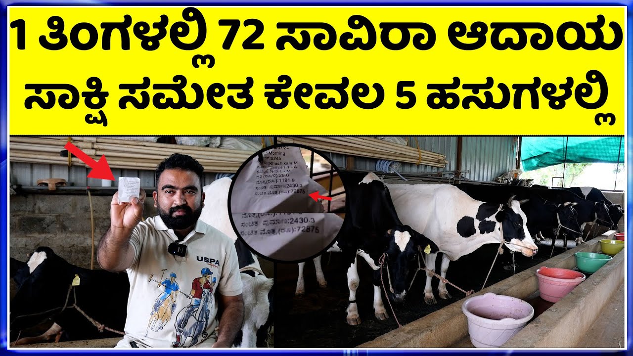 ಹೈನುಗಾರಿಕೆಯಲ್ಲಿ ಲಾಭ ನಷ್ಟ  ಅನುಭವ ಹಂಚಿಕೊಂಡ  I T ಮನೋಜ್ || hainugarike information in kannada