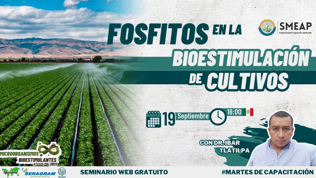 Fosfitos en la Bioestimulación de Cultivos
