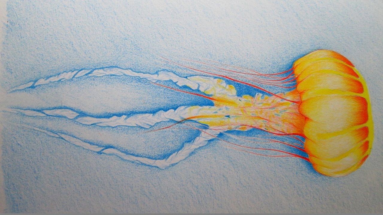 Cómo dibujar una medusa con lápices de color paso a paso, dibujando medusas