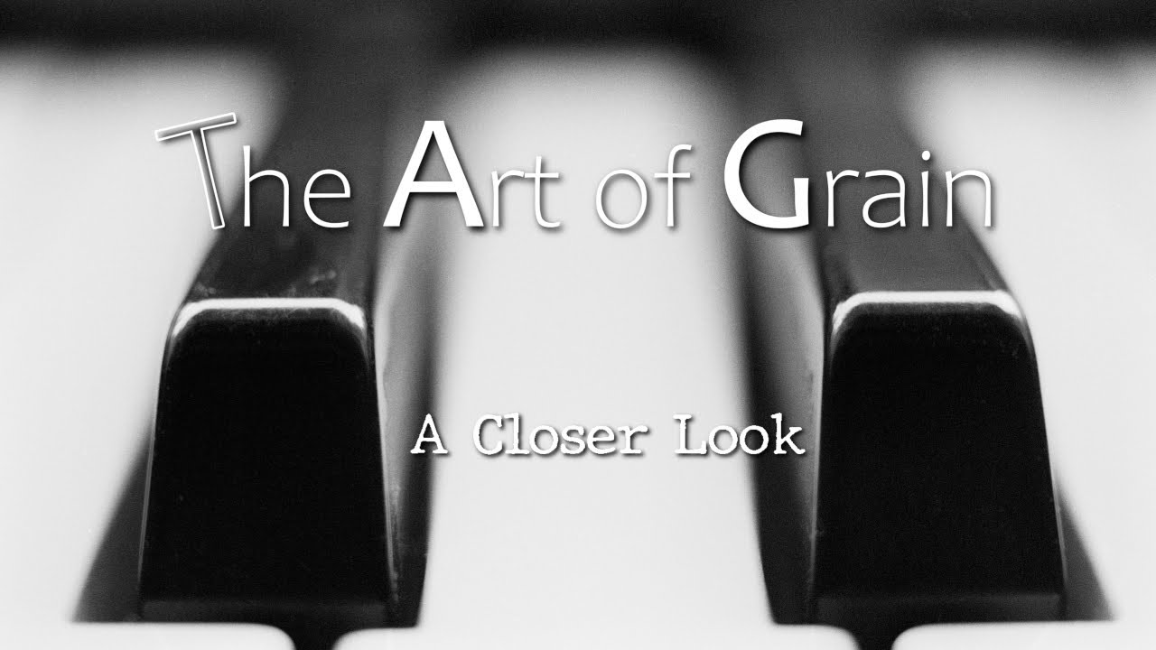 A Closer Look - Analog black & white photography