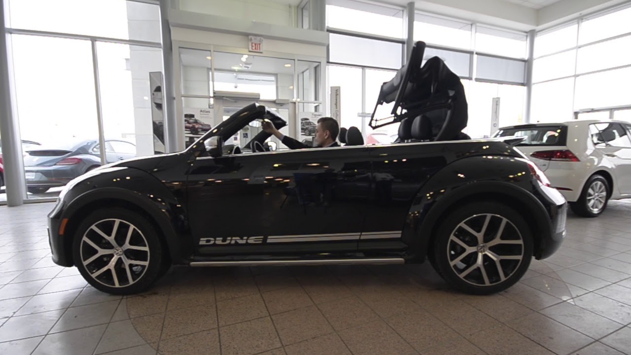 2018 Dune Beetle Deep Black pearl.