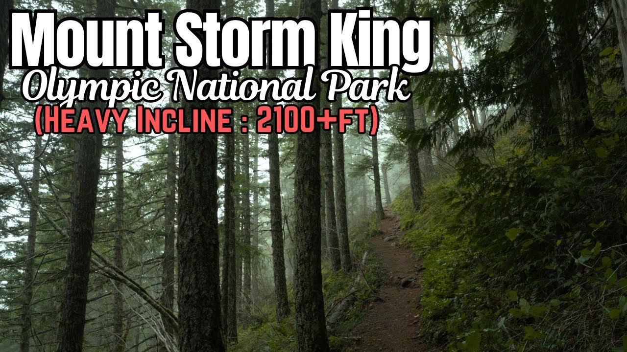 Mount Storm King Hike: A Must-Do Trail in Olympic National Park