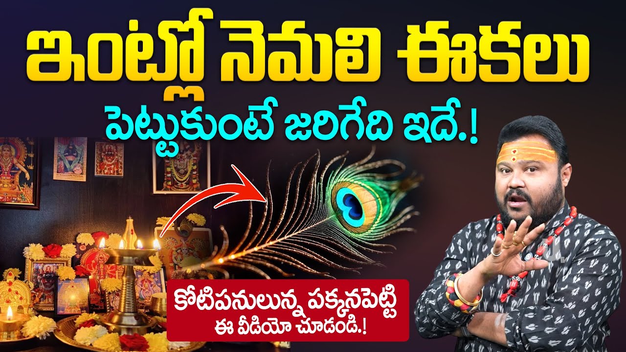 Dharma sandehalu - ఇంట్లో నెమలి ఈకలు పెట్టుకుంటే జరిగేది ఇదే.! | Nemali Pincham| it's UTV Spiritual