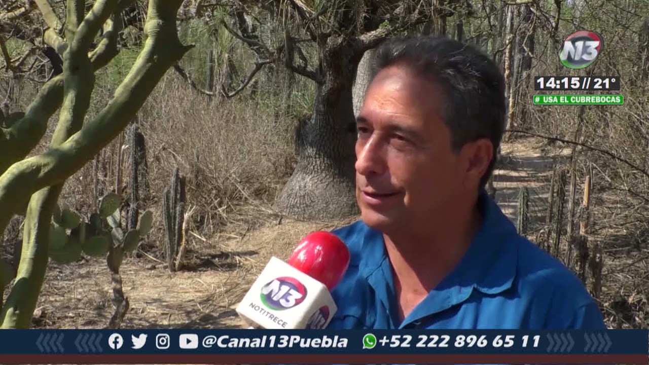 🔴 La Reserva de la Biósfera Tehuacán-Cuicatlán, fue declarada por la UNESCO, Patrimonio-Mixto.