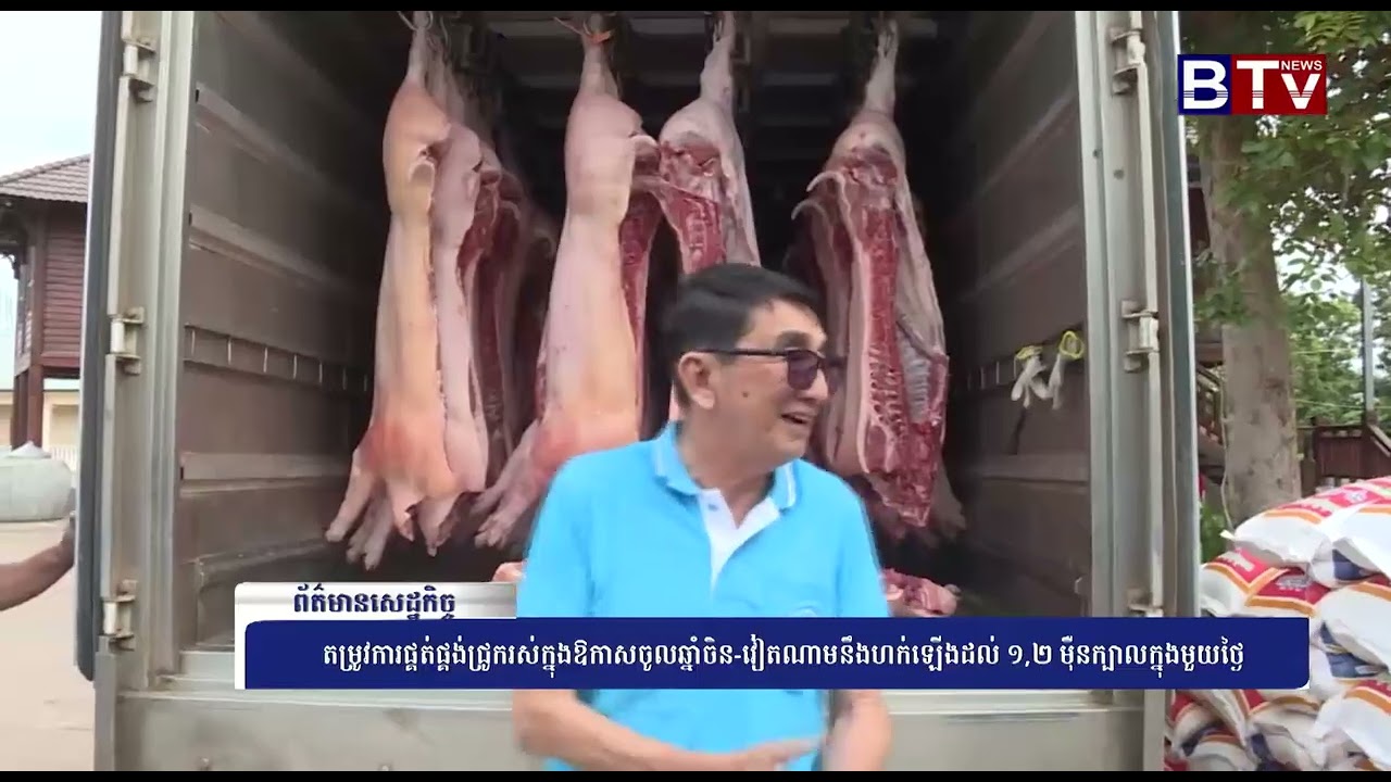 WATCH តម្រូវការផ្គត់ផ្គង់ជ្រូករស់ក្នុងឱកាសចូលឆ្នាំចិន វៀតណាមនឹងហក់ឡើងដល់ ១,២ ម៉ឺនក្បាលក្នុងមួយថ្ងៃ