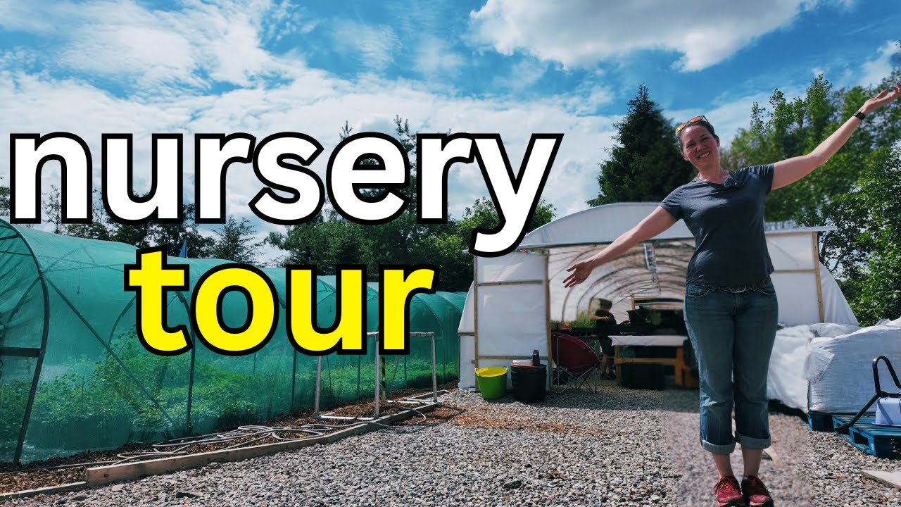 Darroch Nurseries - Scottish Native Tree Nursery Tour - July 2025