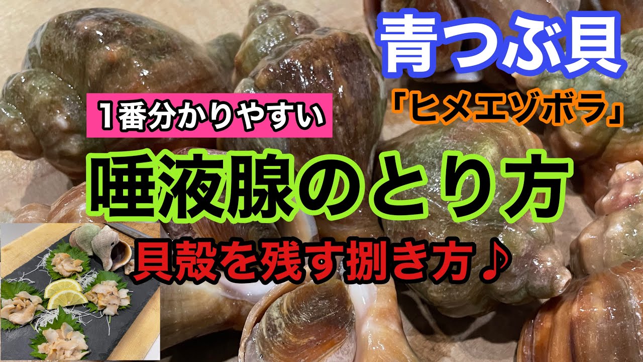 青つぶ貝「ヒメエゾボラ」の唾液腺のとり方と殻を割らない捌き方♪