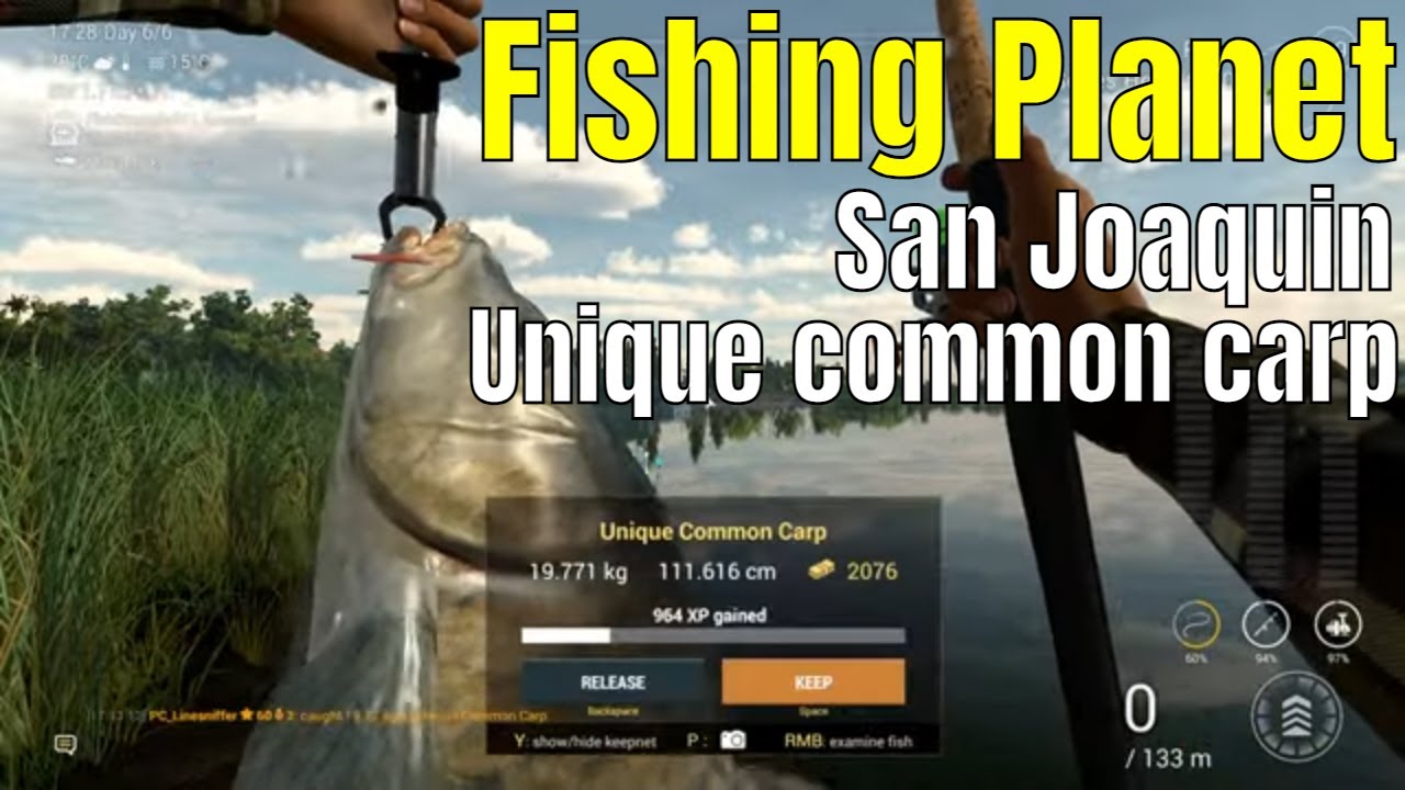 Fishing Planet | San Joaquin, Unique common carp