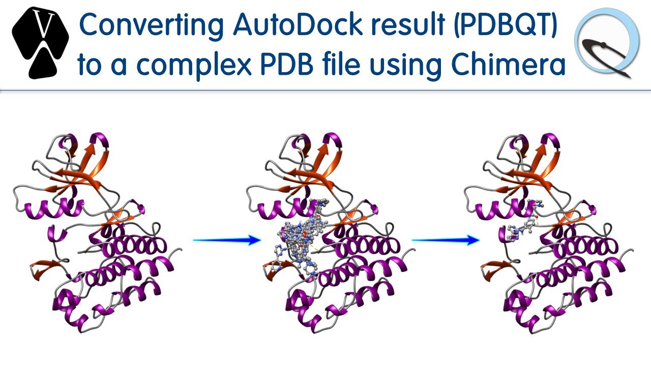 Converting AutoDock result to a complex PDB file using Chimera #bioinformatics #pdb #chimera #biogem