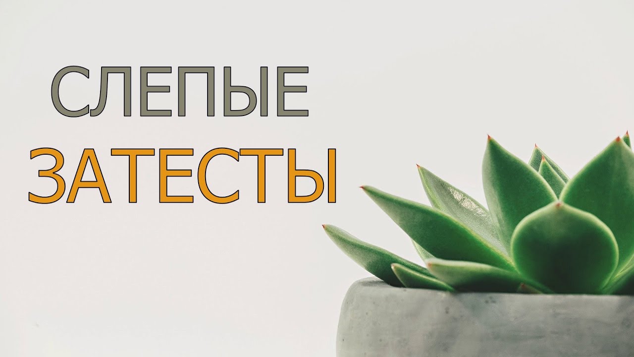 Слепые затесты. Плюс одна хотелка