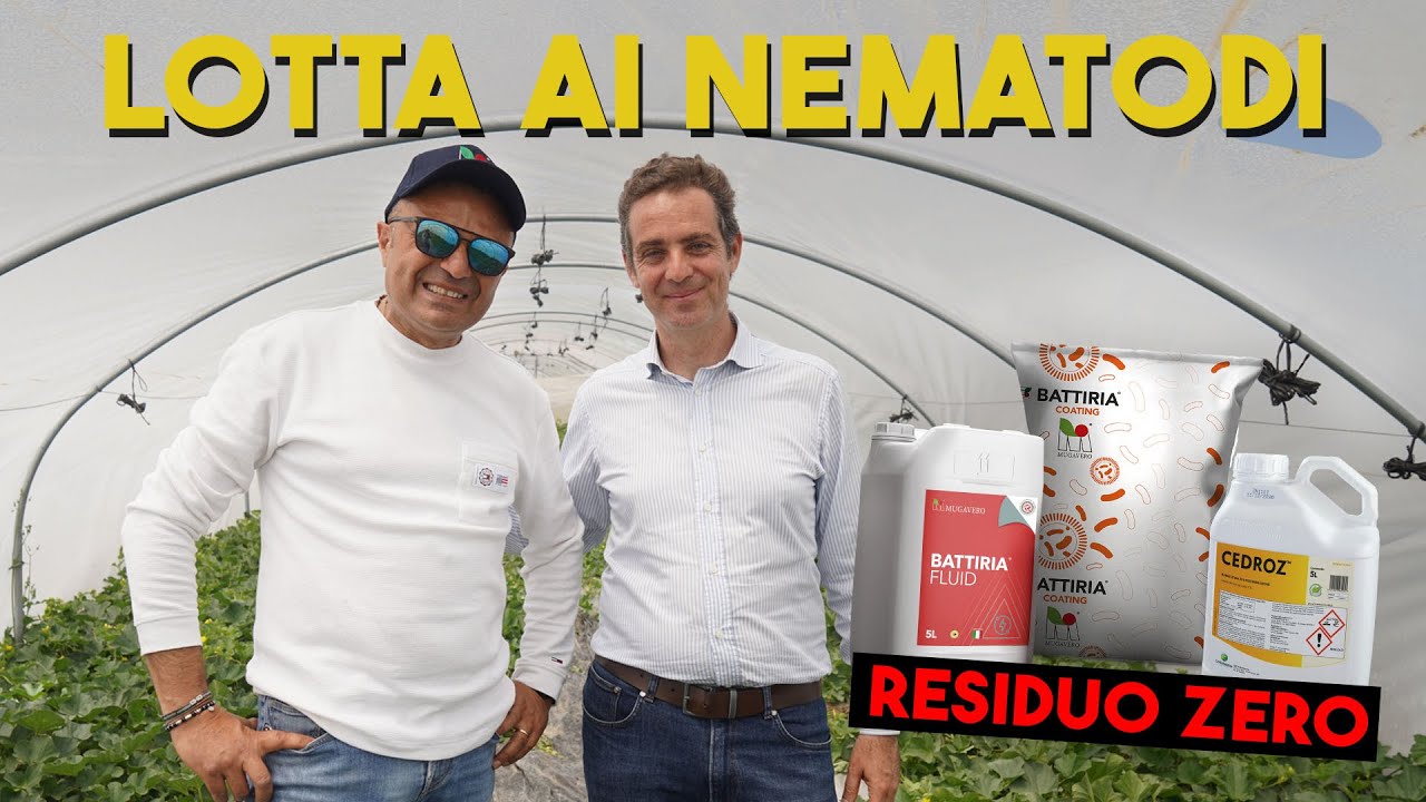 AGRICOLTURA A RESIDUO ZERO contro i NEMATODI - (Mugavero - Certis Belchim)