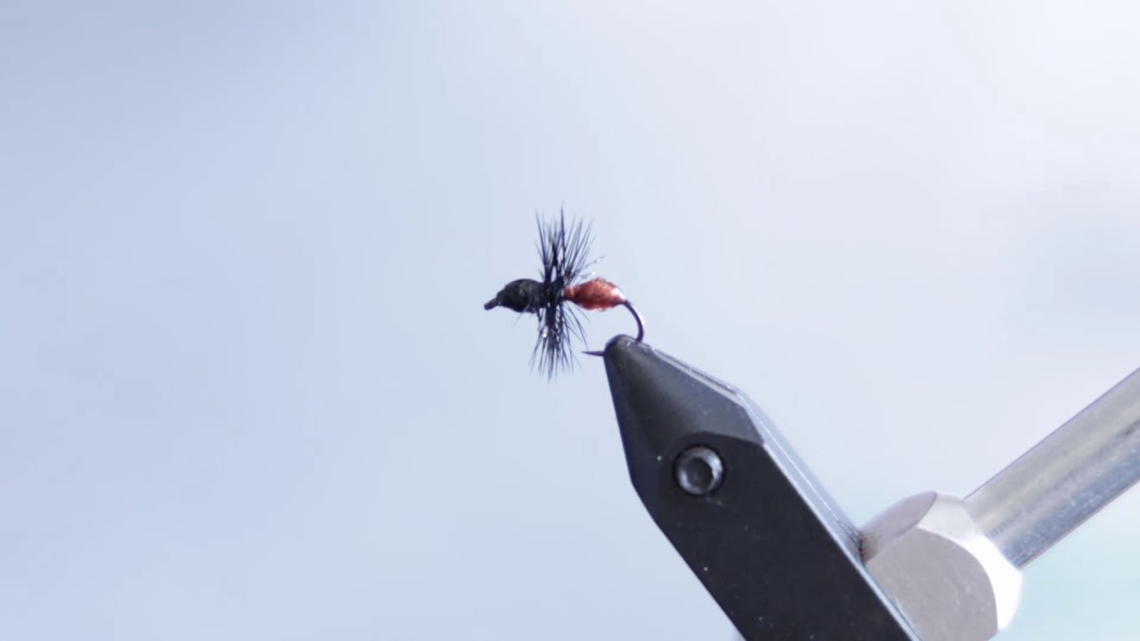 Chris Niccolls ties a UV Resin Cinnamon Ant