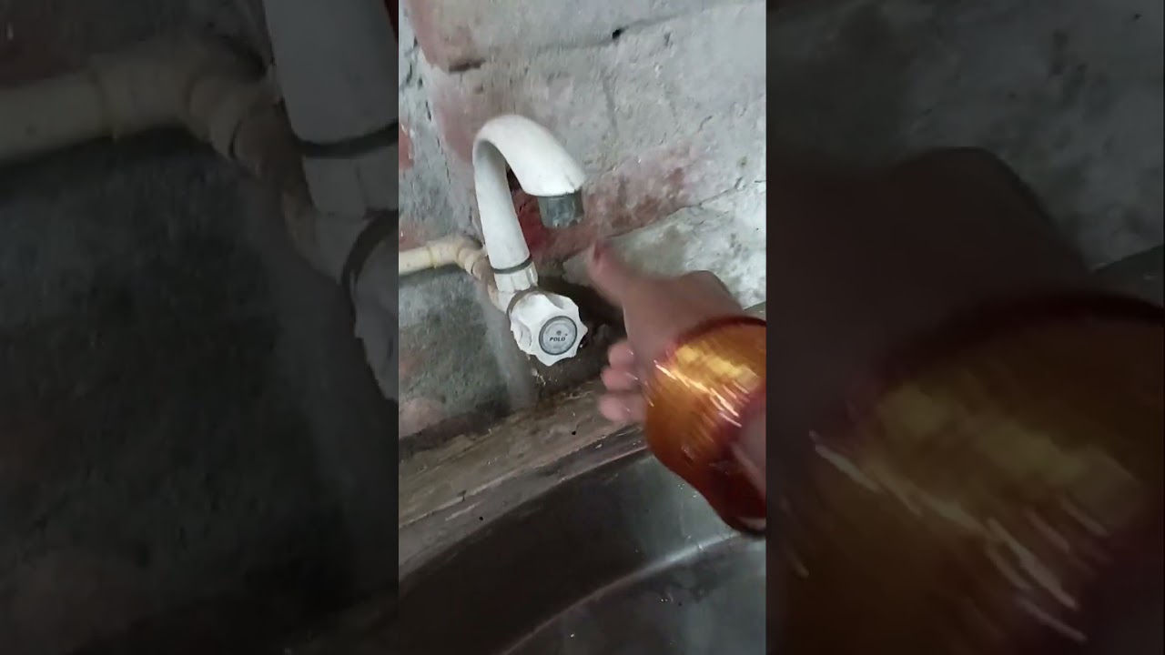 Dhaniyan Patti ki chatni 