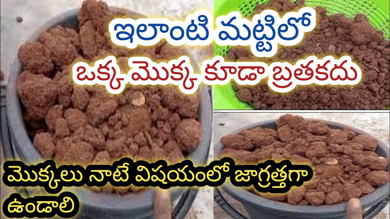 మట్టి మిశ్రమం తయారీ/soil mix for terrace garden#gardening #soil #repotting #terracegarden#pottingmix