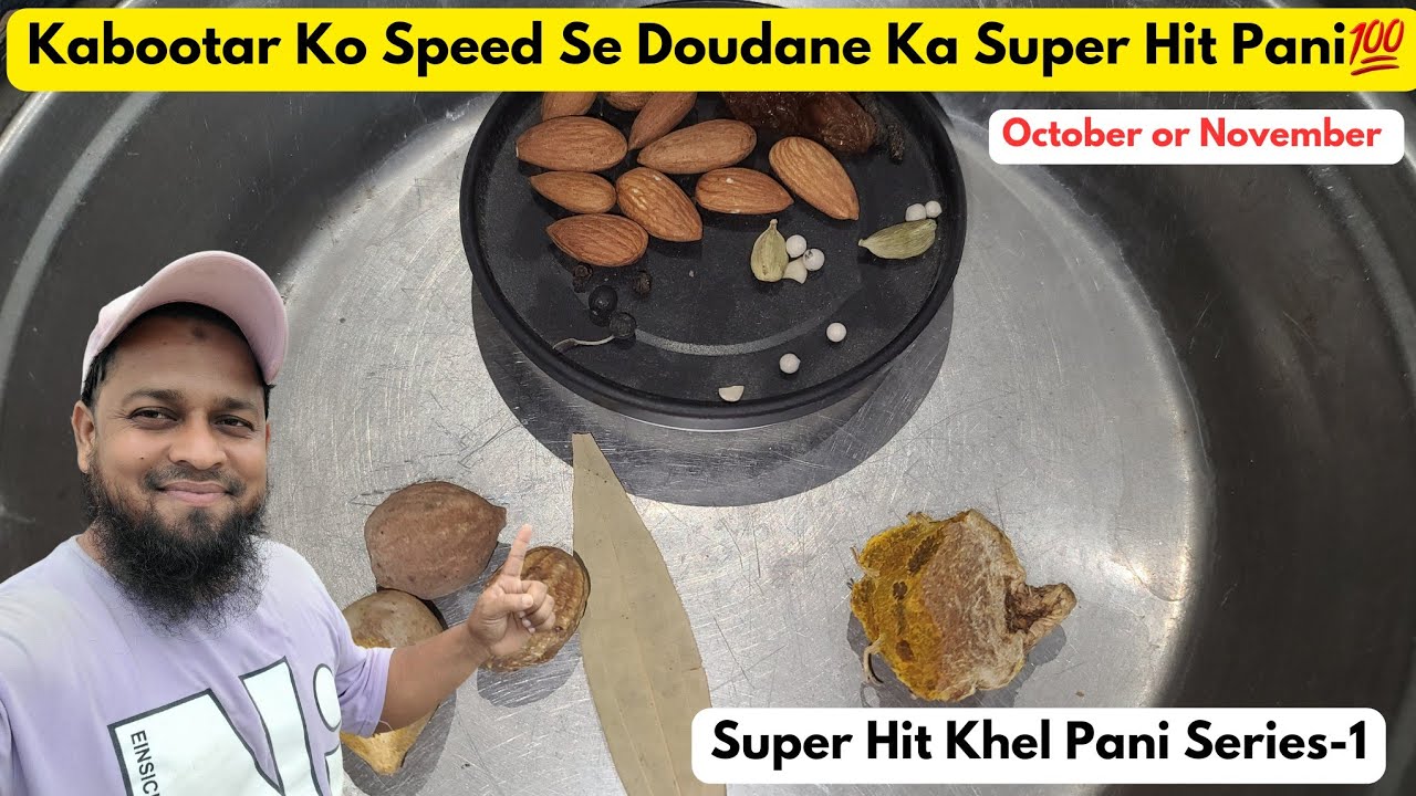 Gulabi Mousam Me Kabootar Doudane Ka Super Hit Pani ||@pigeonscarefactory5328
