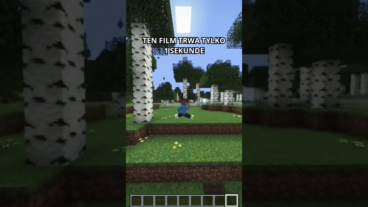 Ten Film trwa tylko 1 sekundę&hellip; #minecraft #memes #minecraftshorts #gaming