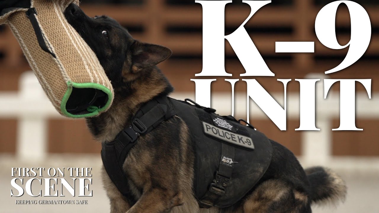 First on the Scene: K-9 Unit